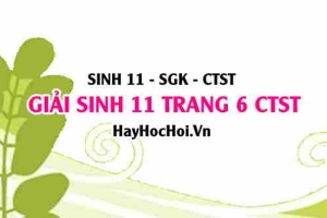 Giải Sinh 11 trang 6 Chân trời sáng tạo SGK